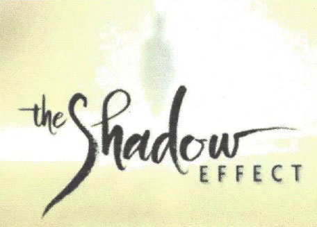 Shadow Effect Training